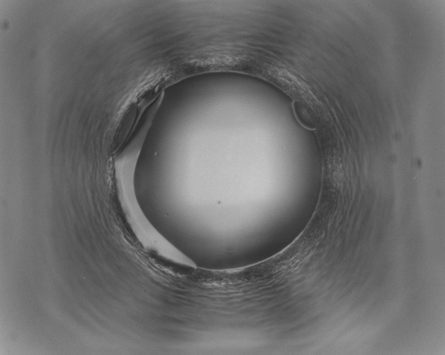 X0000072500735200608041441