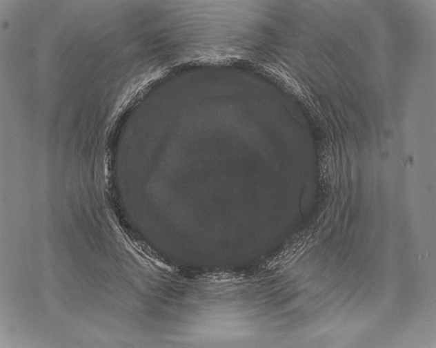 X0000072500736200608041441