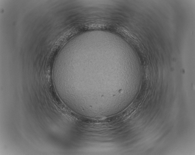 X0000072500737200608041441