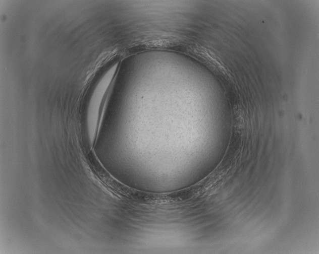 X0000072500738200608041441