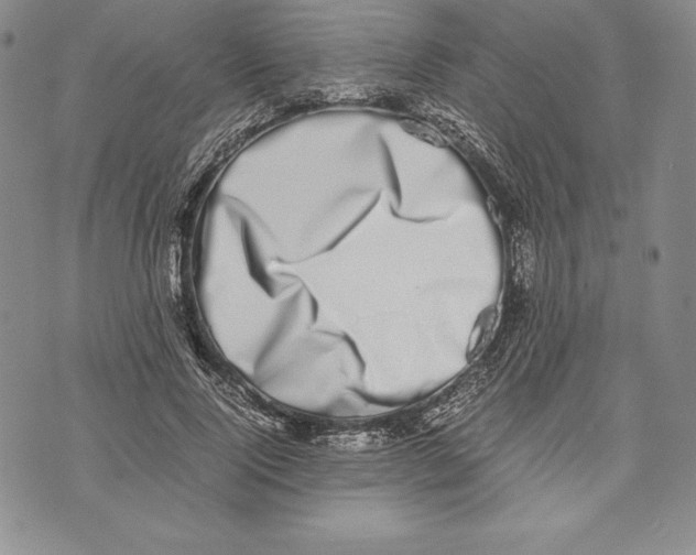 X0000072500740200608041441