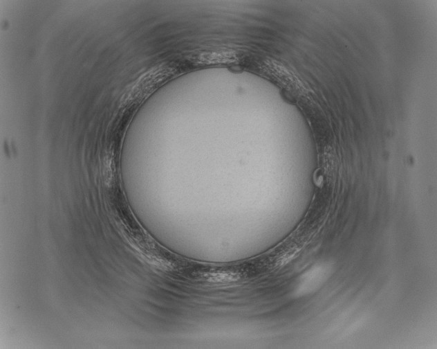 X0000072500741200608041441