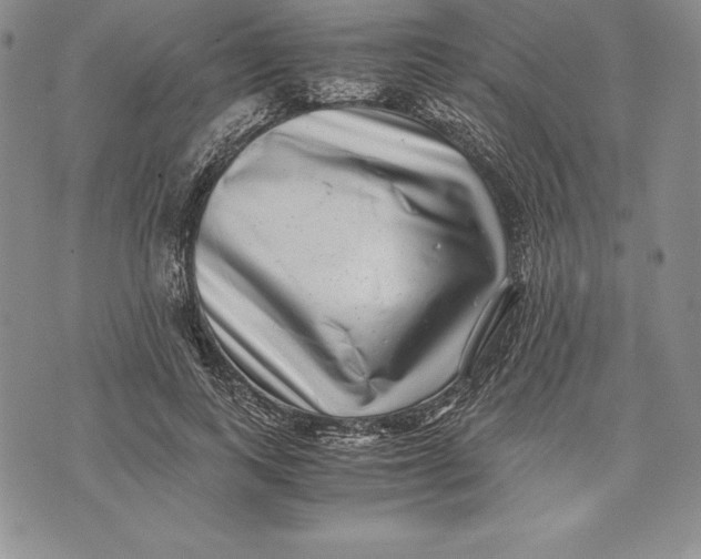 X0000072500743200608041441