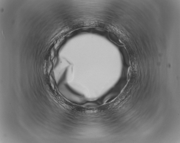 X0000072500744200608041441