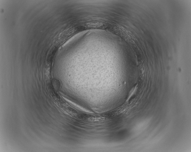 X0000072500745200608041441