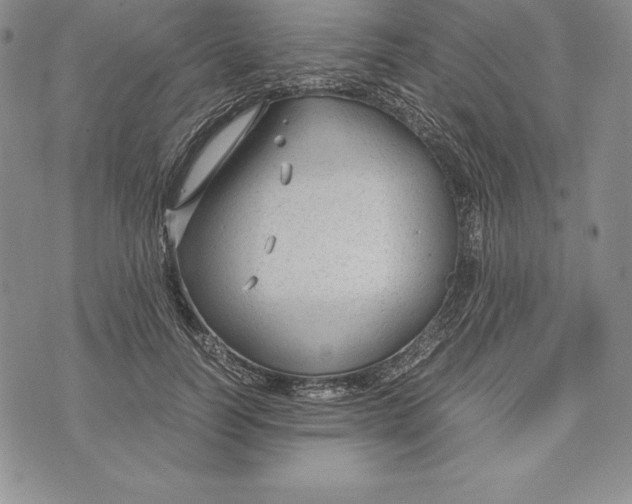 X0000072500746200608041441