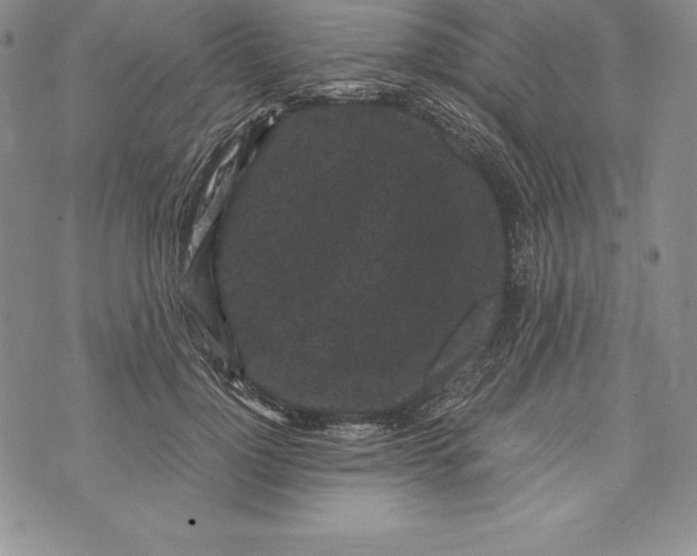 X0000072500748200608041441