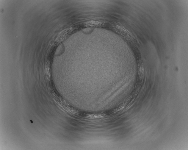 X0000072500749200608041441