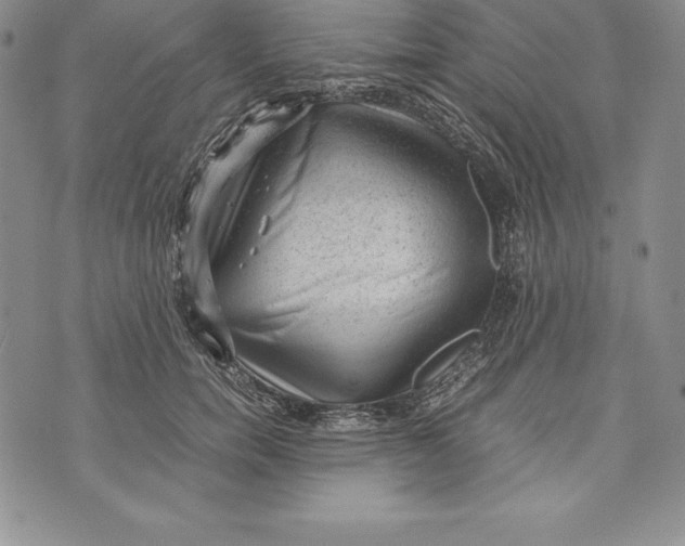 X0000072500750200608041441