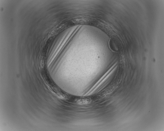 X0000072500751200608041441