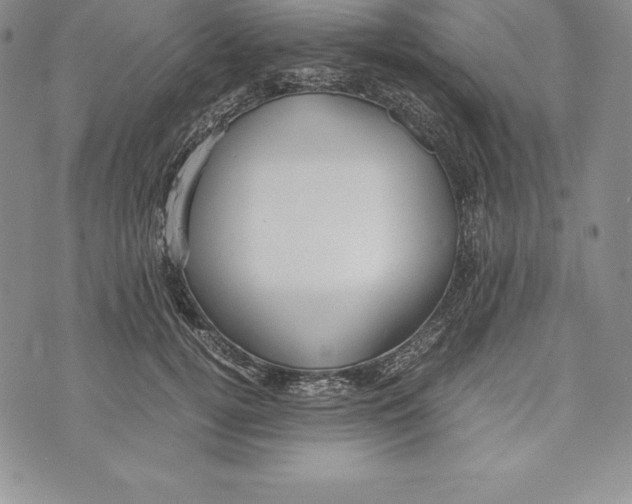 X0000072500752200608041441