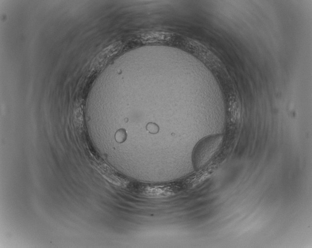 X0000072500753200608041441