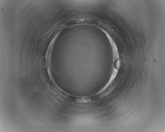 X0000072500754200608041441