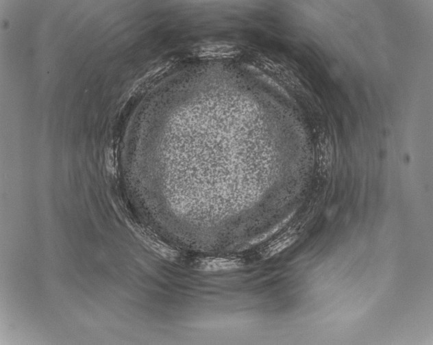 X0000072500755200608041441