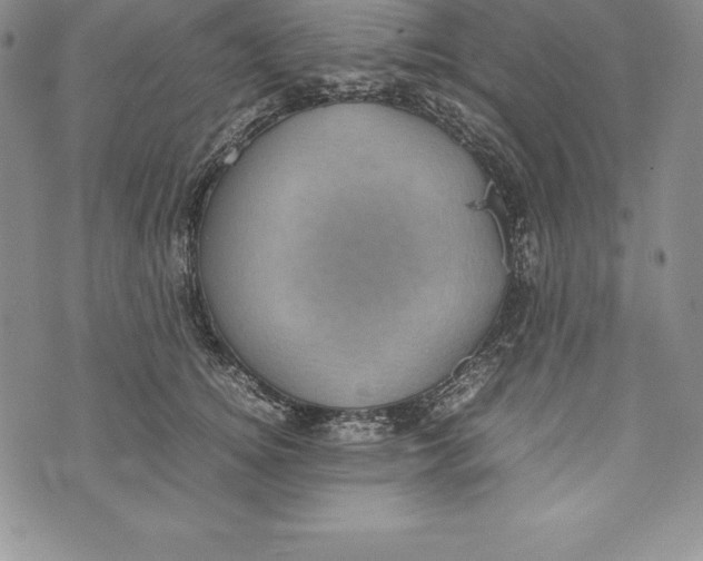 X0000072500756200608041441