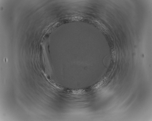 X0000072500757200608041441