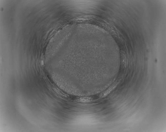 X0000072500758200608041441