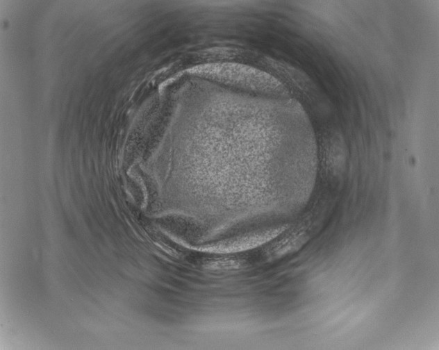 X0000072500759200608041441