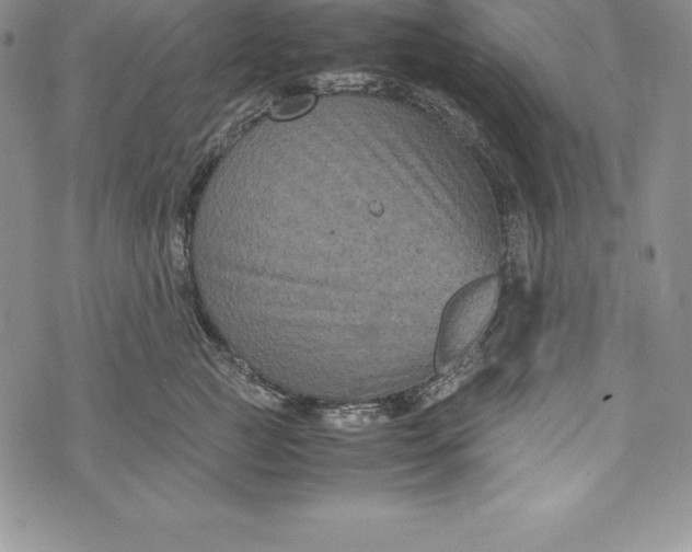 X0000072500761200608041441