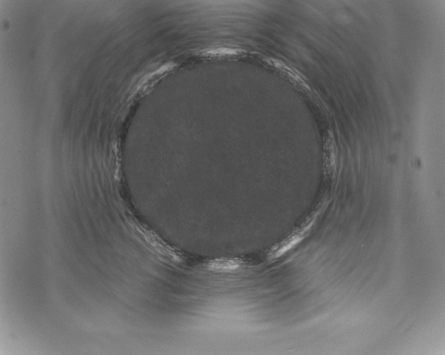 X0000072500762200608041441