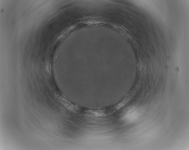 X0000072500763200608041441