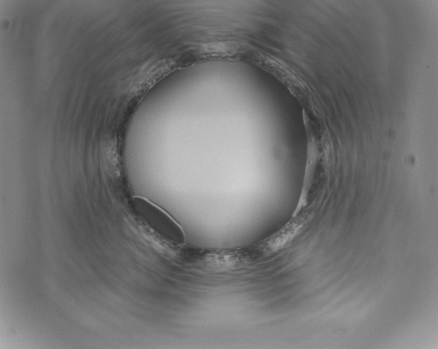 X0000072500764200608041441