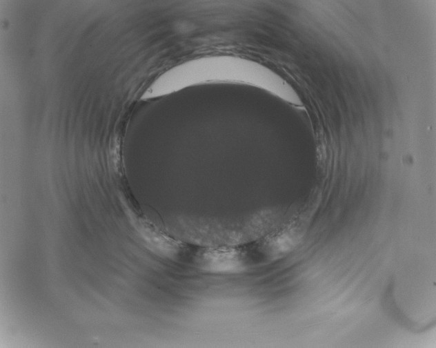 X0000072500767200608041441