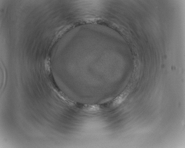 X0000072500768200608041441