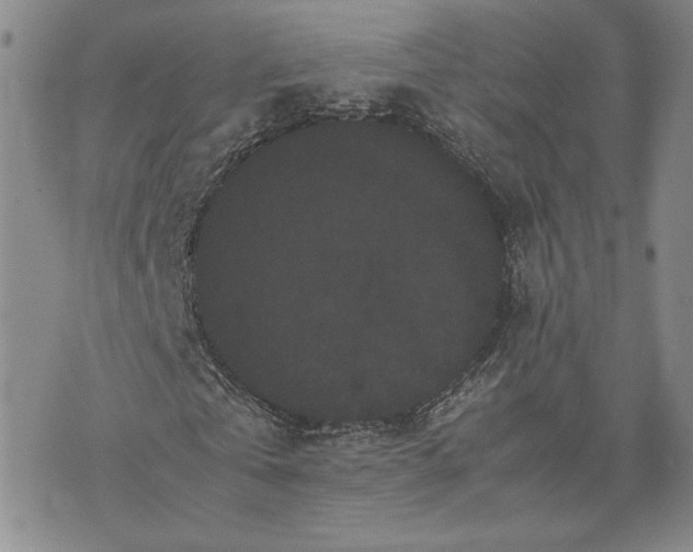 X0000072500769200608041440