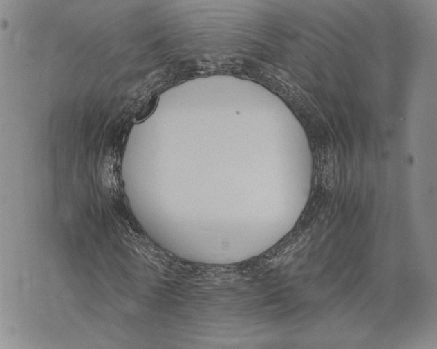 X0000072500770200608041440