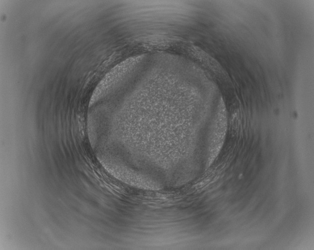 X0000072500772200608041440