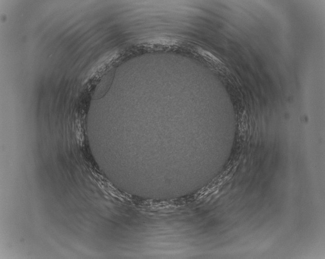 X0000072500774200608041440