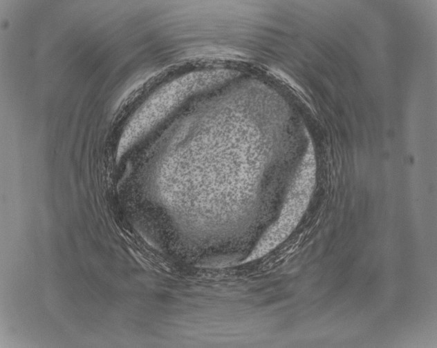 X0000072500775200608041440