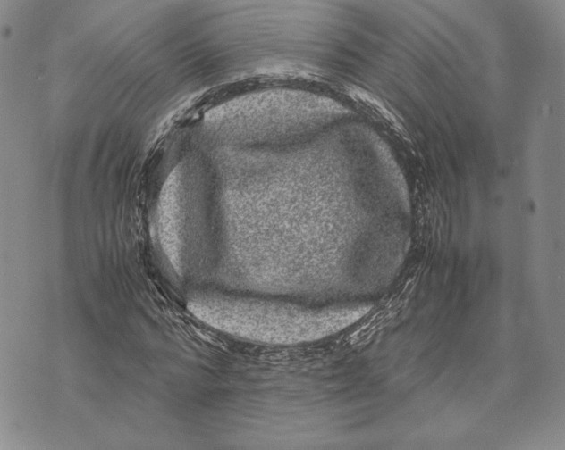 X0000072500776200608041440