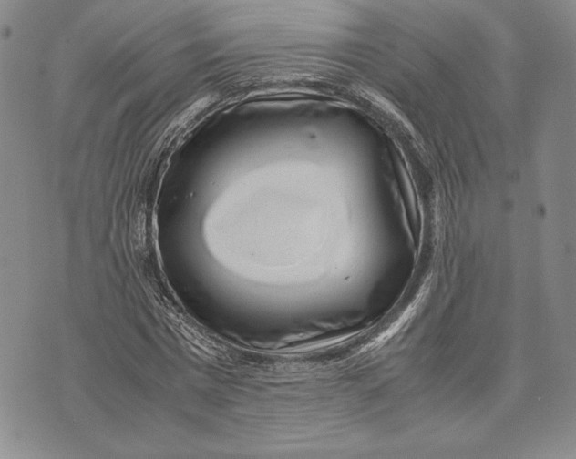 X0000072500777200608041440