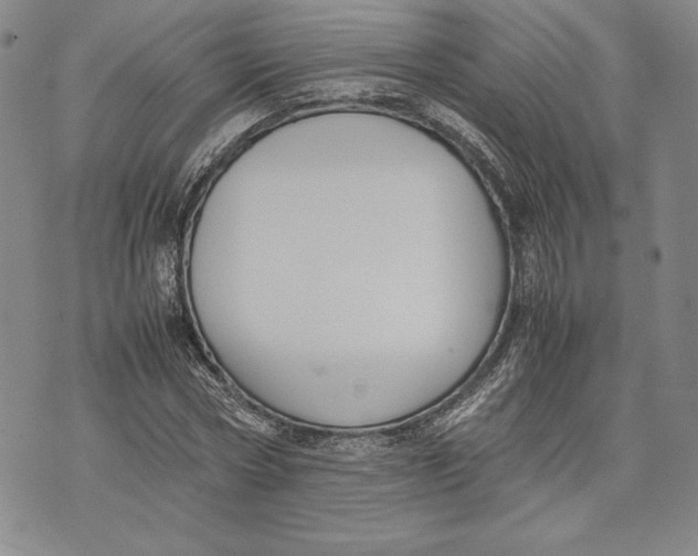 X0000072500778200608041440