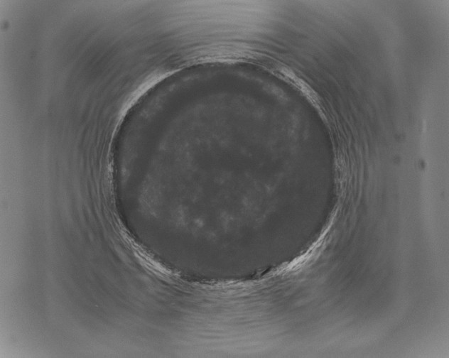 X0000072500779200608041440