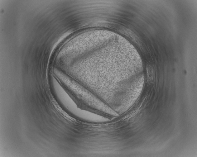 X0000072500780200608041440