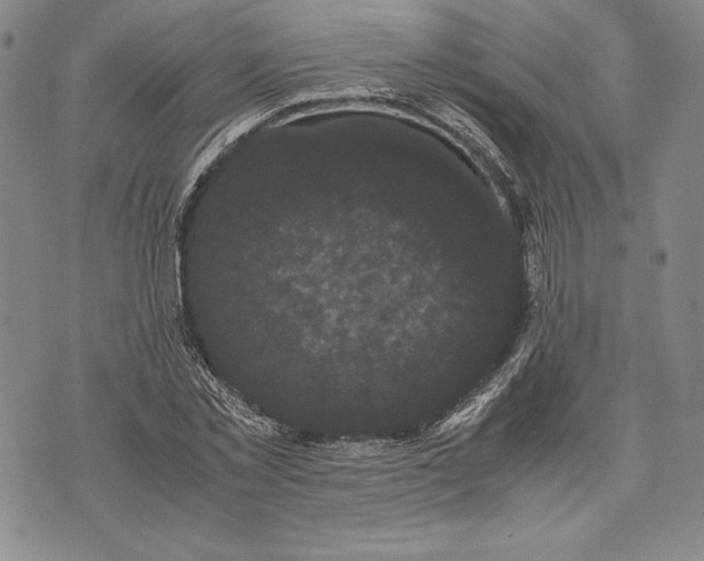 X0000072500781200608041440