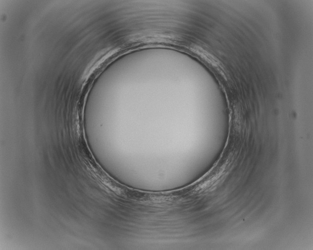 X0000072500782200608041440