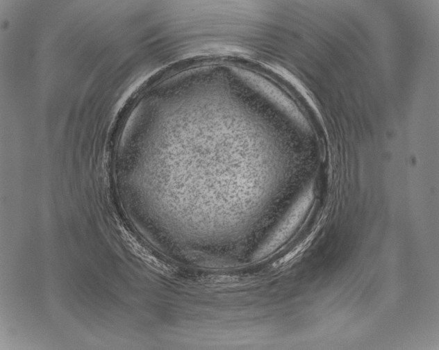 X0000072500783200608041440