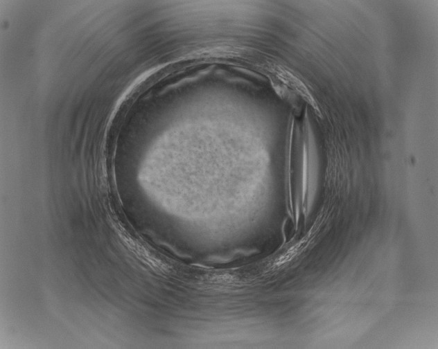 X0000072500784200608041440