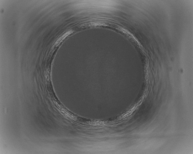 X0000072500785200608041440