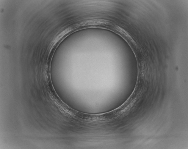 X0000072500786200608041440