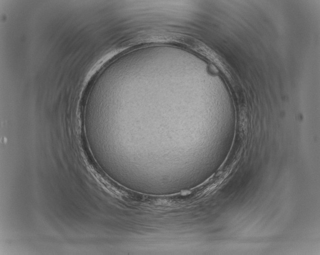 X0000072500787200608041440