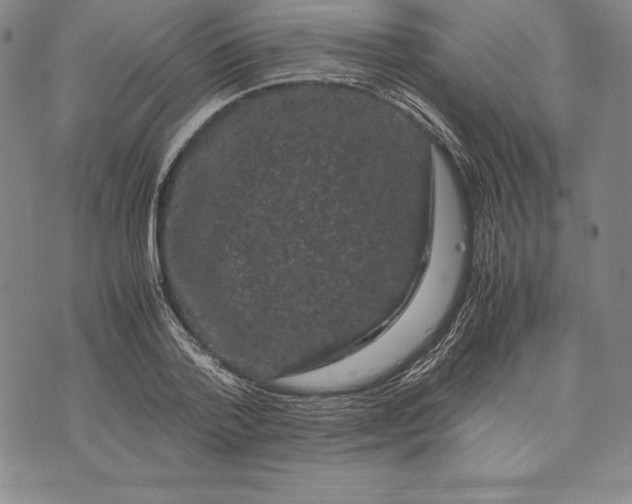 X0000072500788200608041440