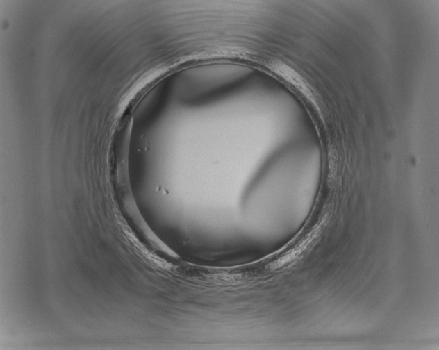 X0000072500789200608041440