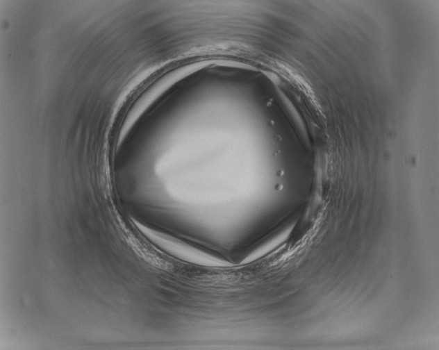 X0000072500792200608041440