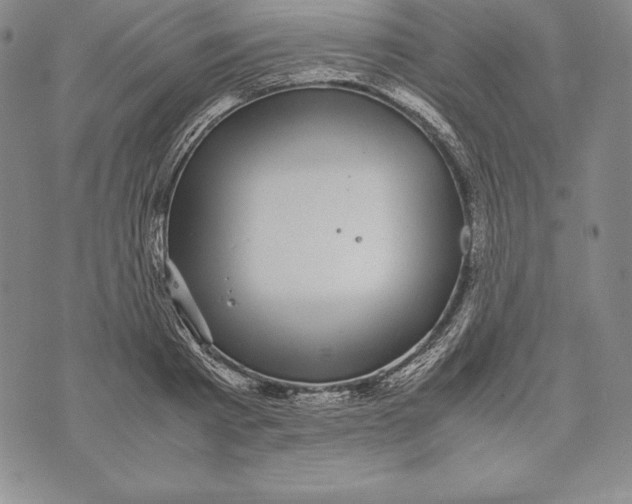 X0000072500793200608041440