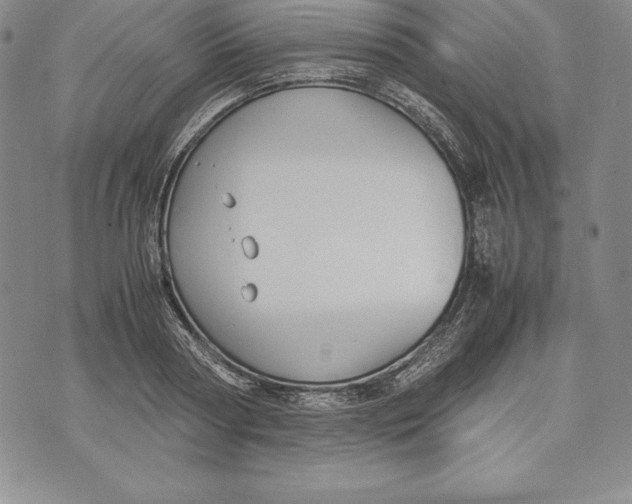 X0000072500794200608041440